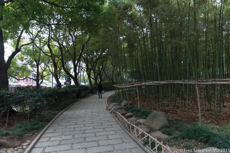 20150319_150849 D4S.jpg - Shanghai